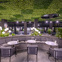 Rubi Platinum Hotels & Resorts