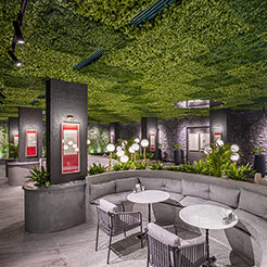 Rubi Platinum Hotels & Resorts