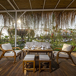 Rubi Platinum Hotels & Resorts